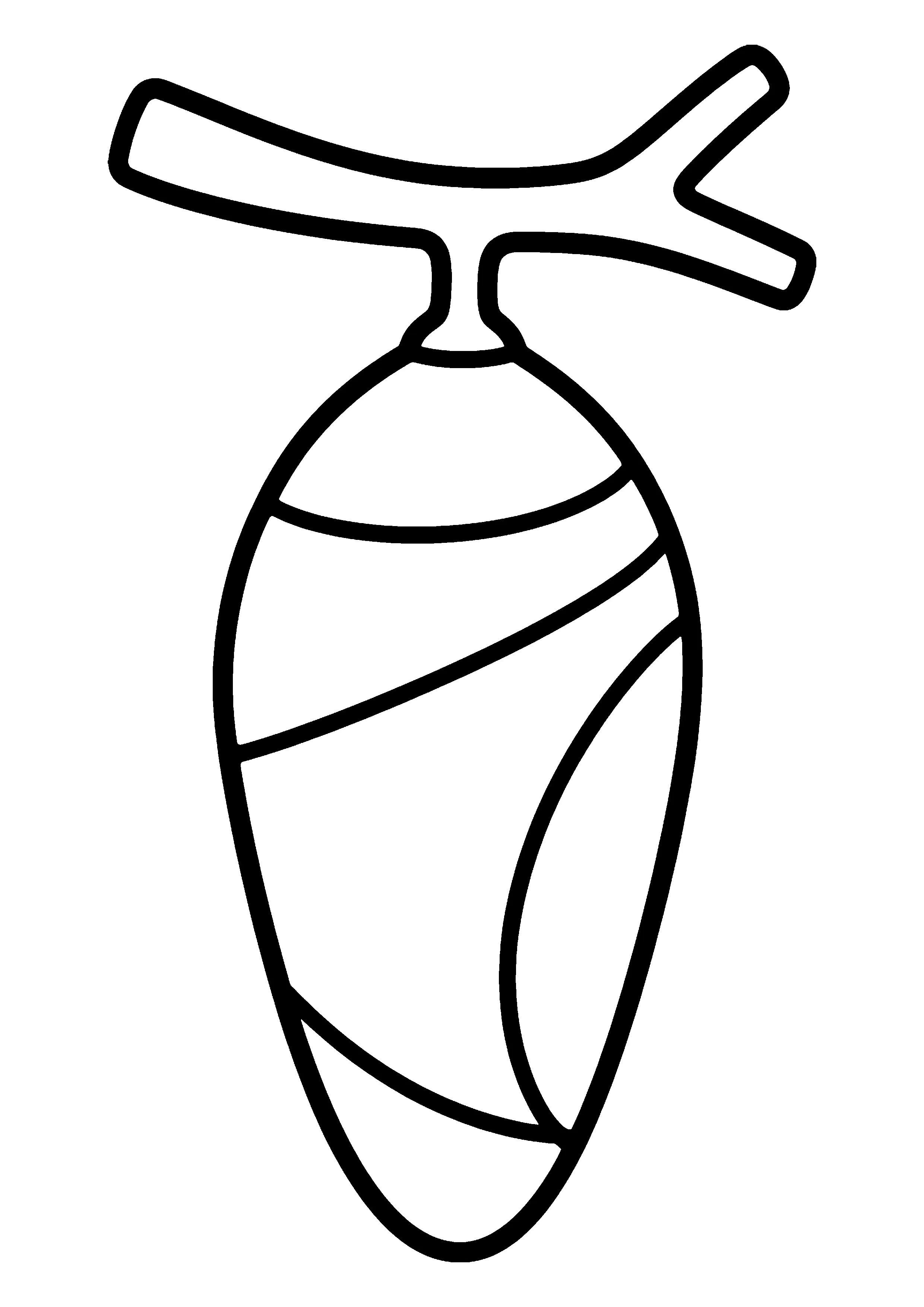 Chrysalis hanging from a twig coloring page, printable line art