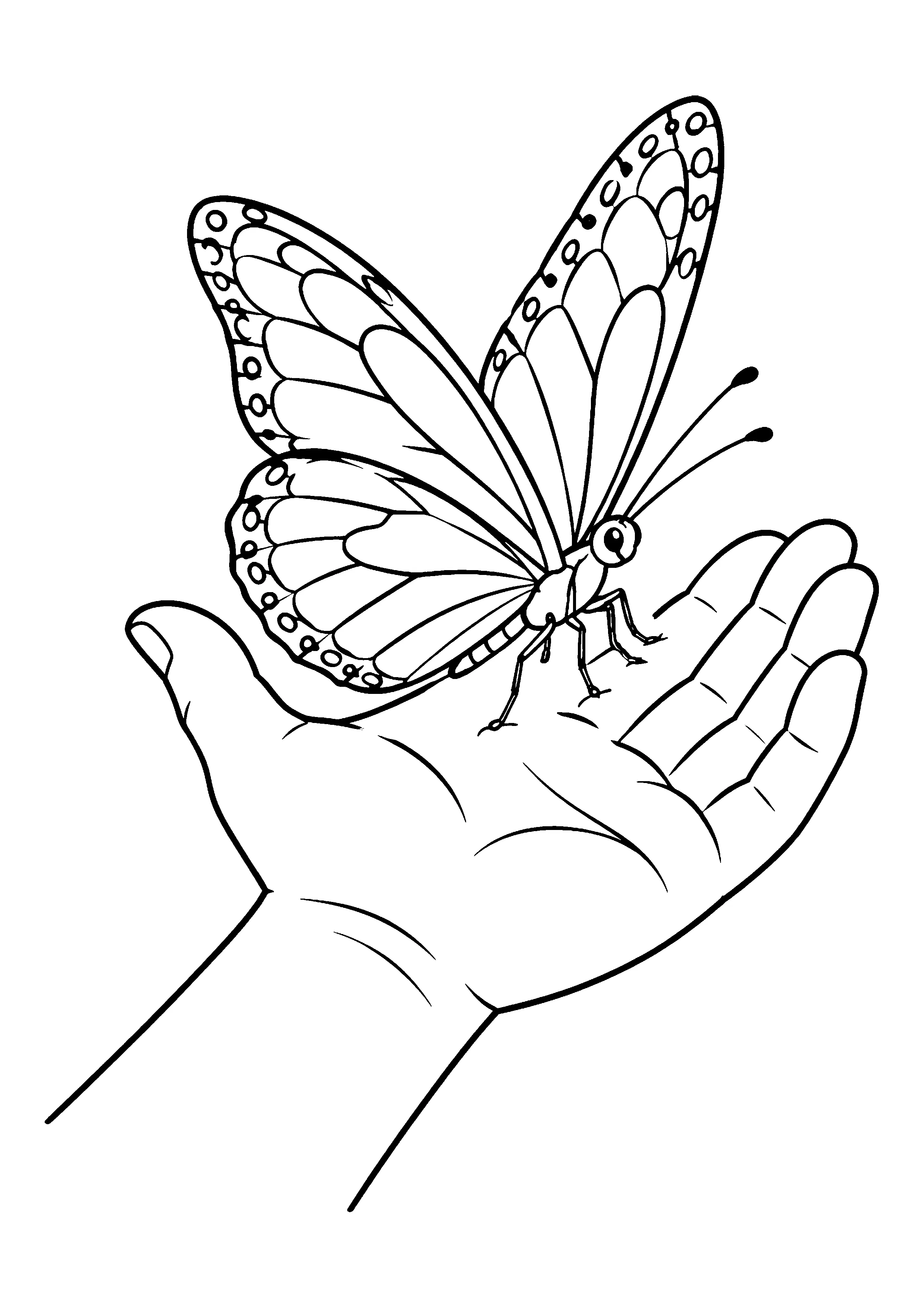 Butterfly on an open hand coloring page, printable line art