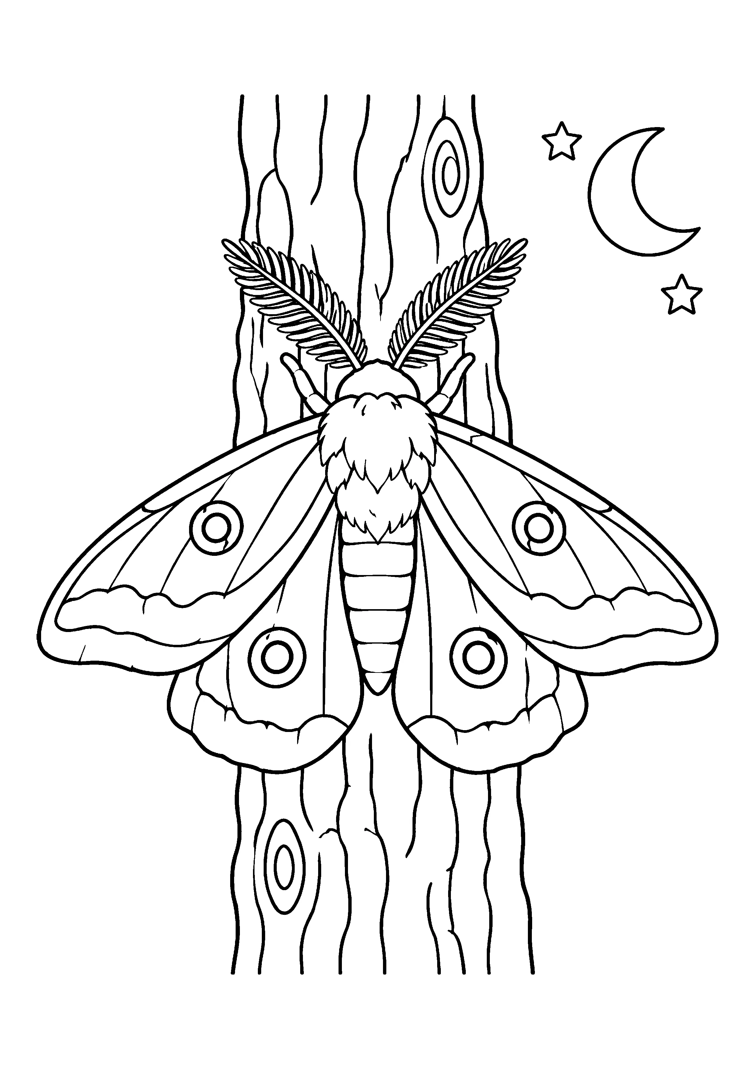 Moth on tree trunk coloring page, printable line art