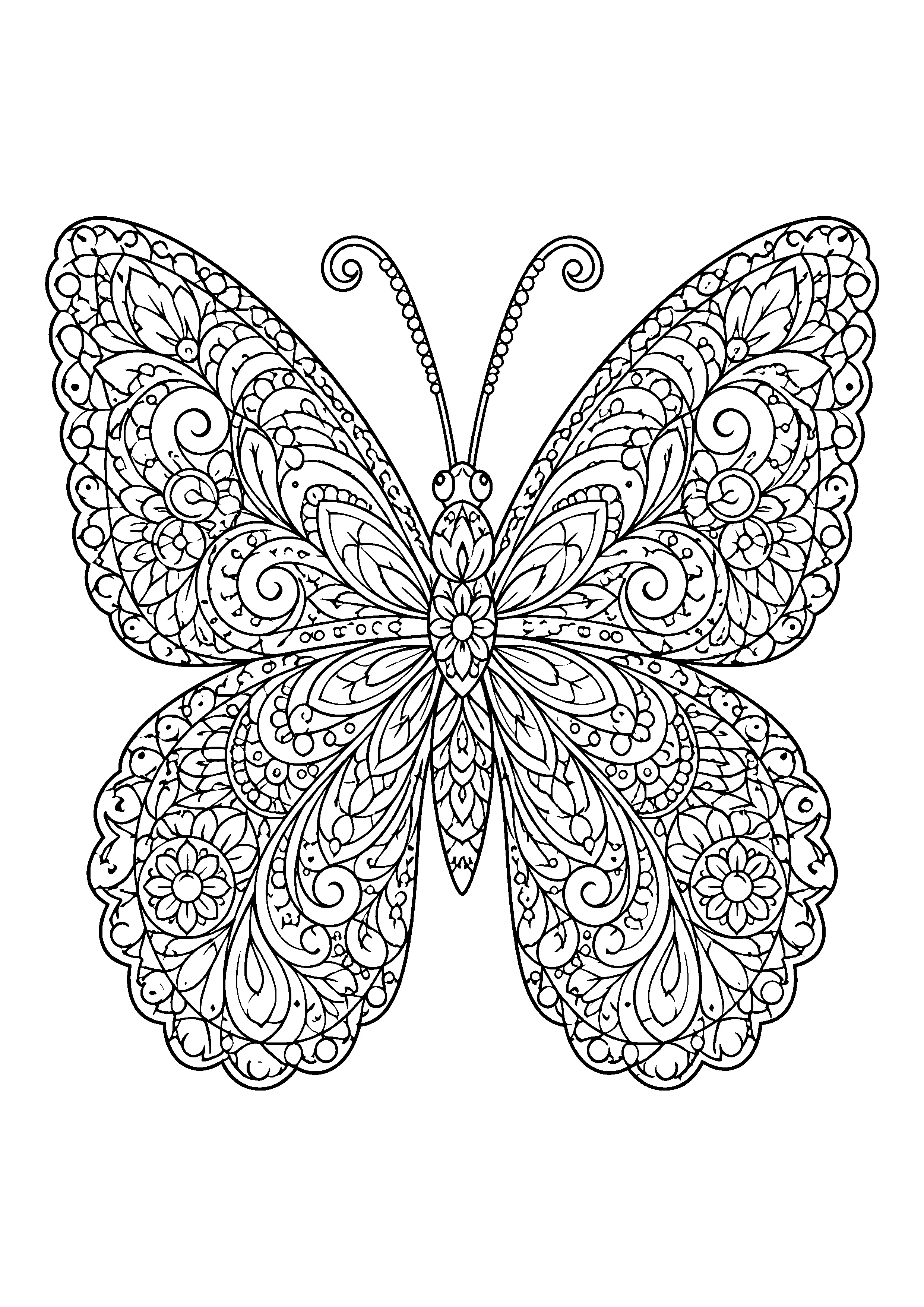 Ornate mandala butterfly coloring page, printable line art