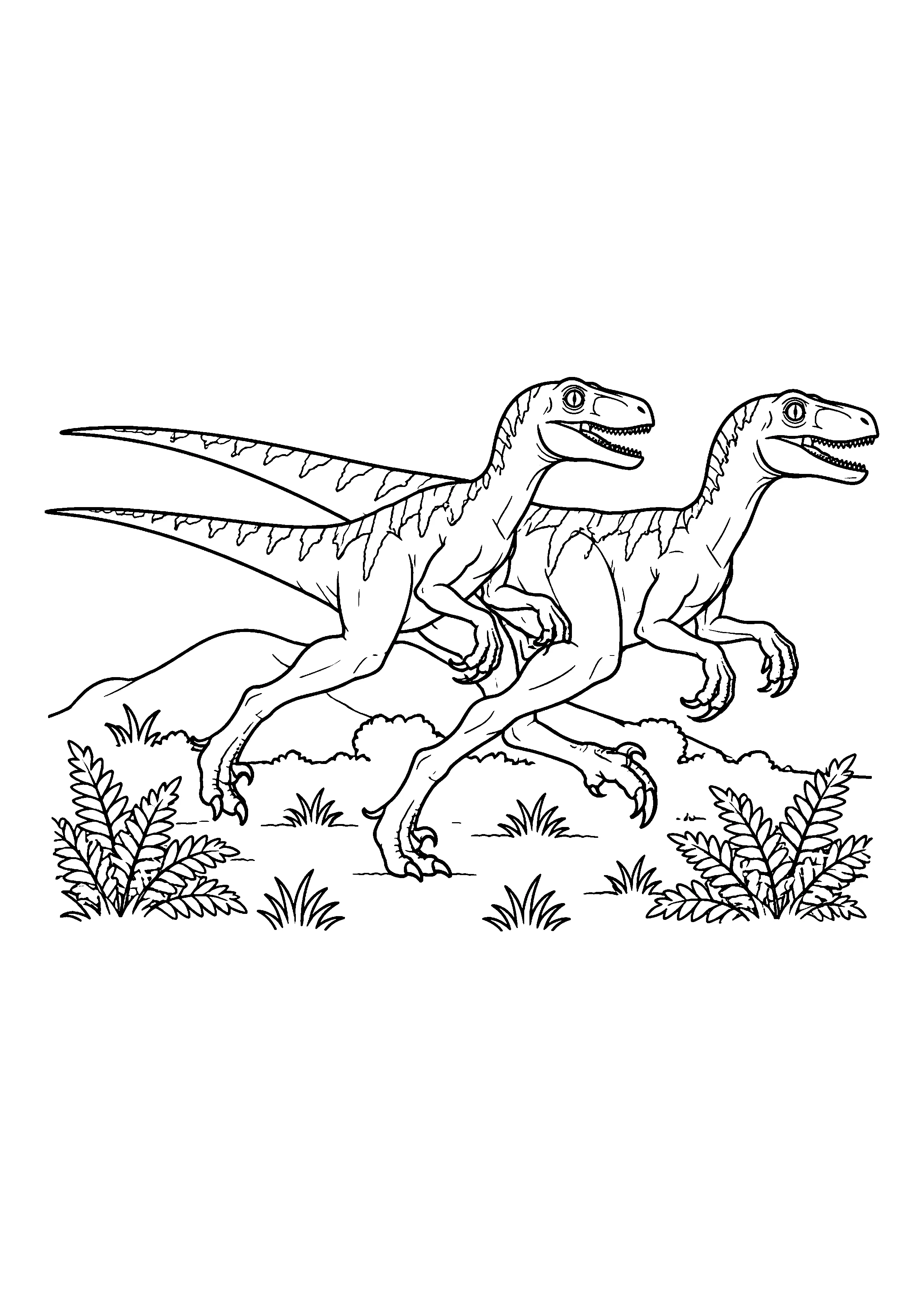 Two velociraptors running coloring page, printable line art