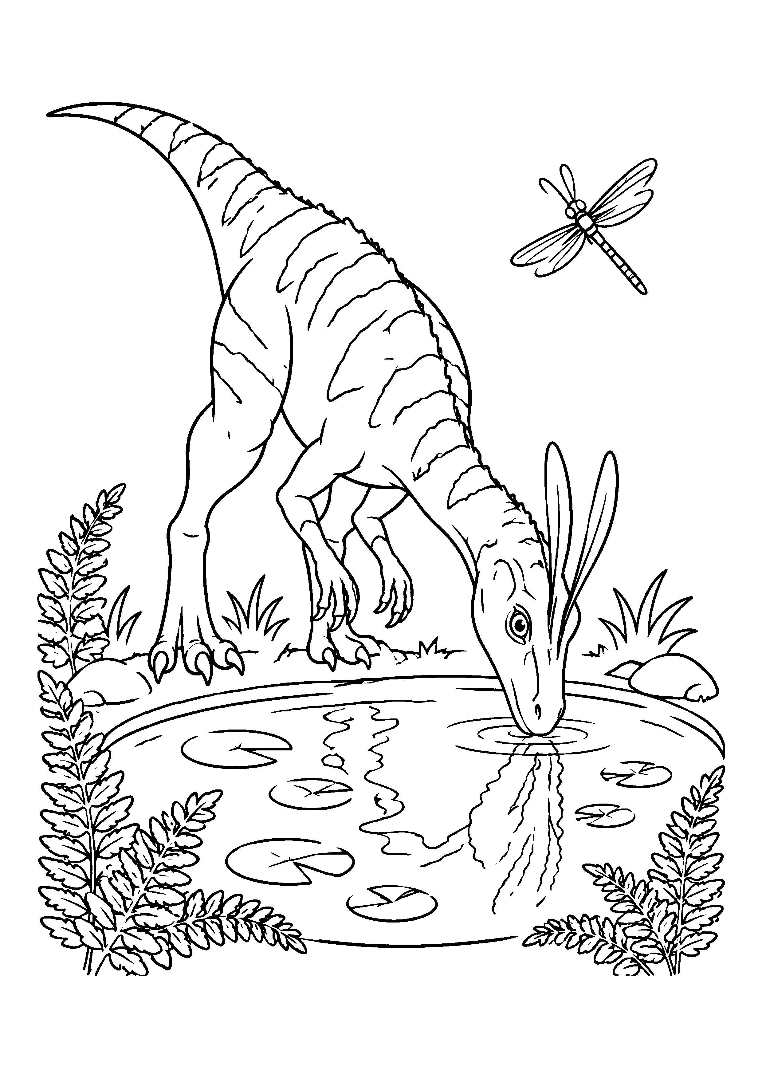 Dilophosaurus drinking at pond coloring page, printable line art