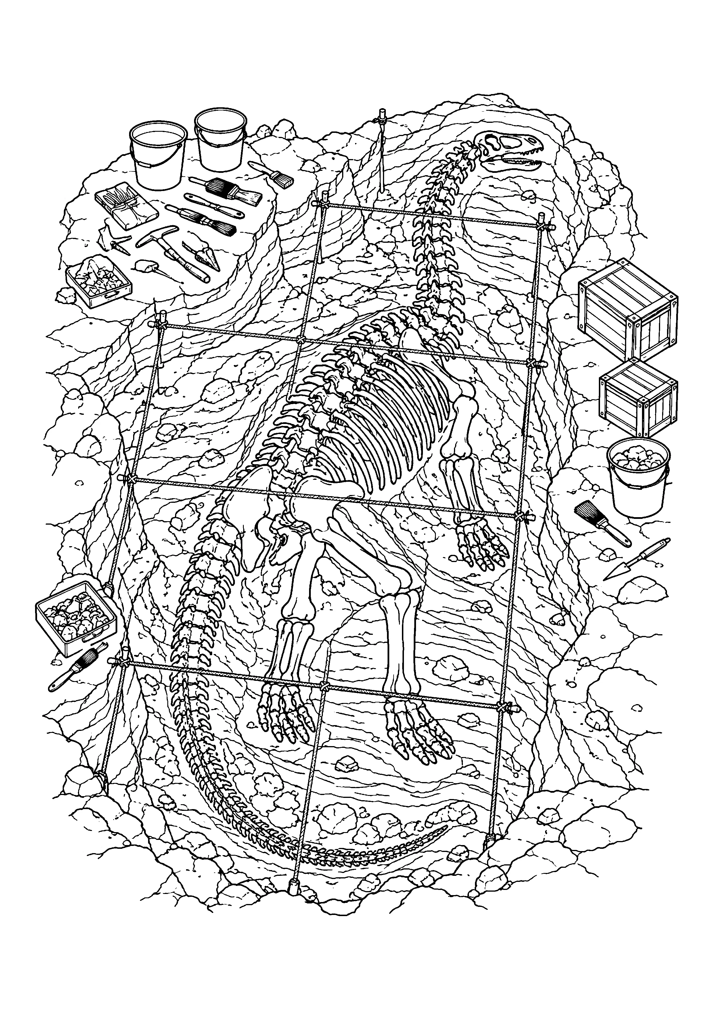 Diplodocus fossil dig site coloring page, printable line art