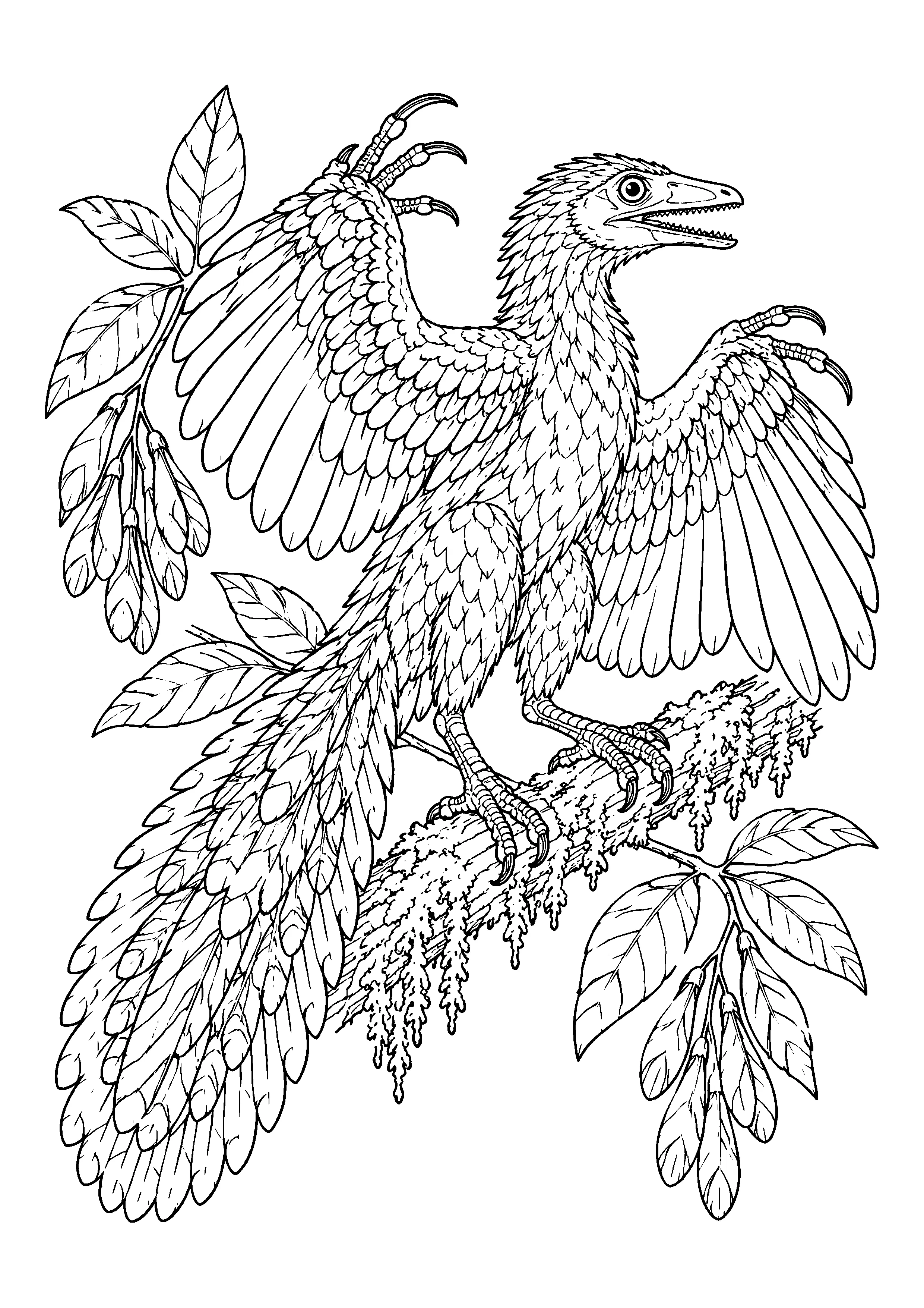 Archaeopteryx on mossy branch coloring page, printable line art