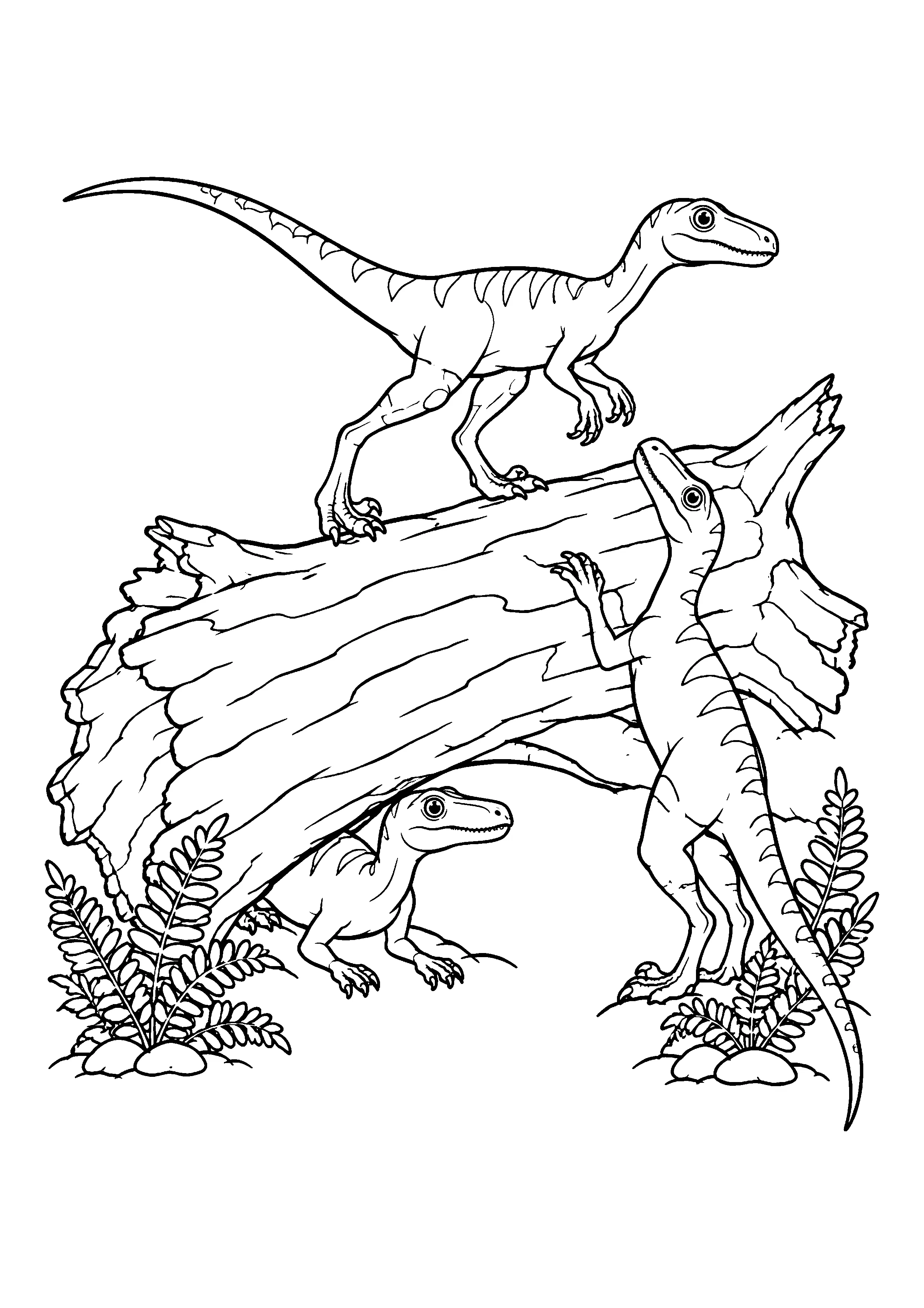 Compsognathus climbing fallen log coloring page, printable line art