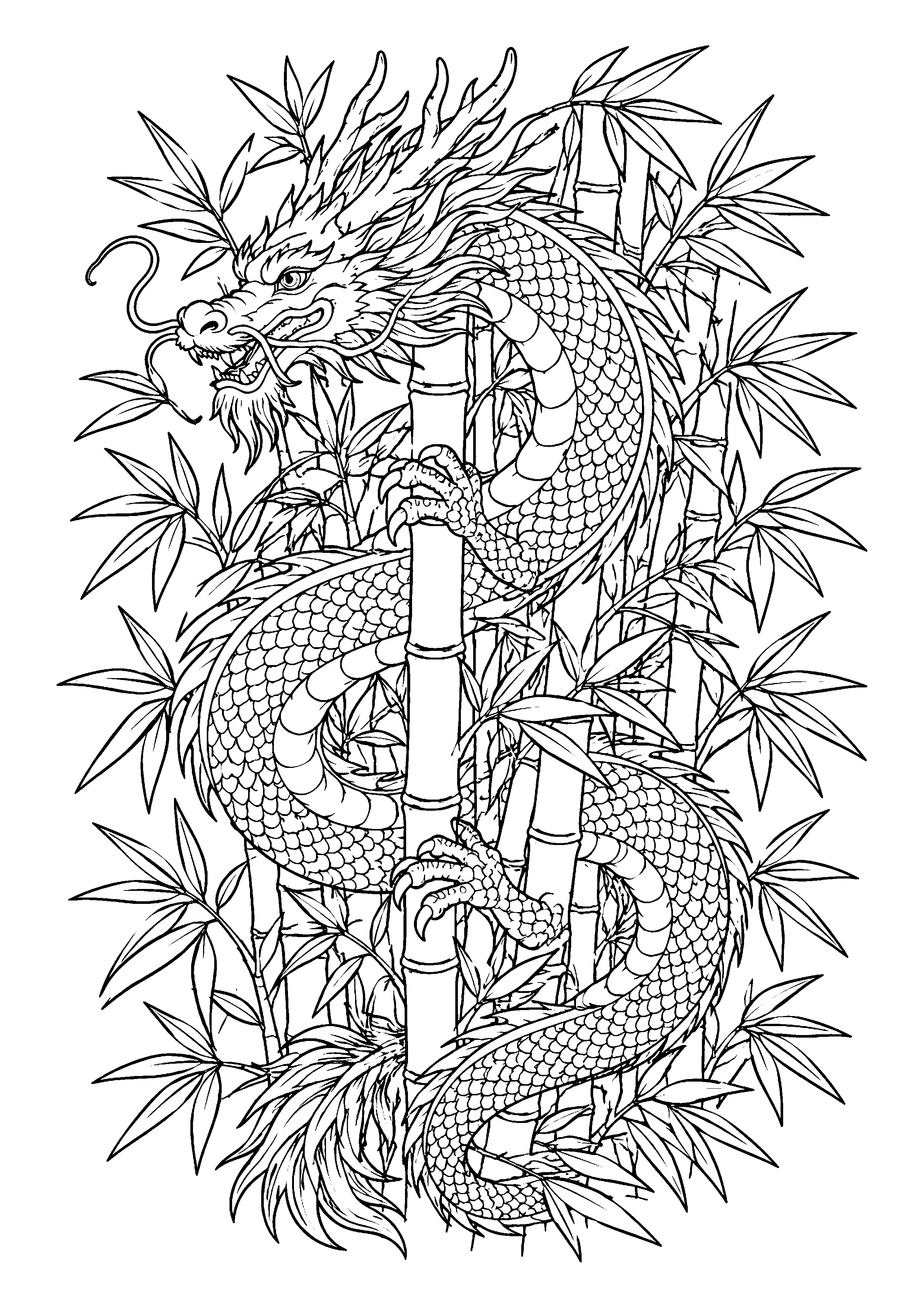 Dragon coiled in bamboo forest coloring page, printable line art