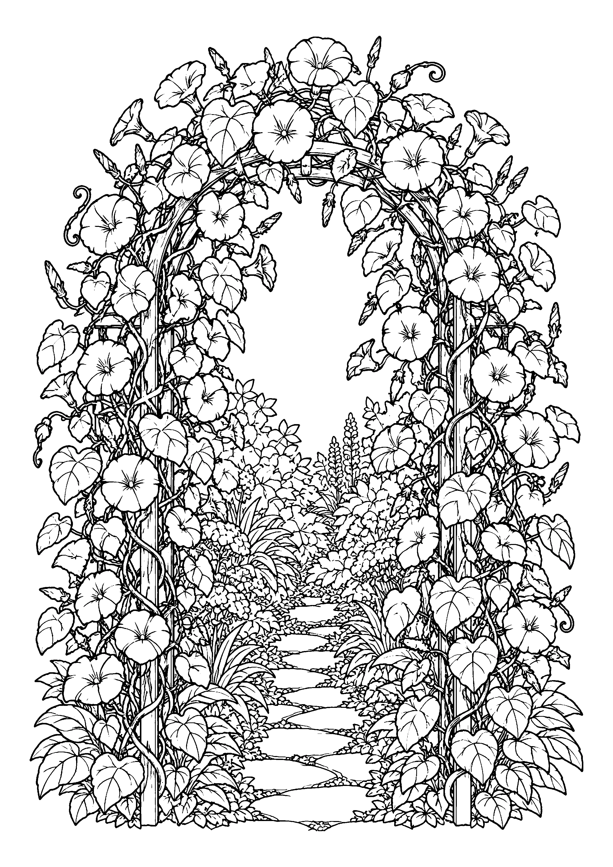 Morning glory garden arch coloring page, printable line art