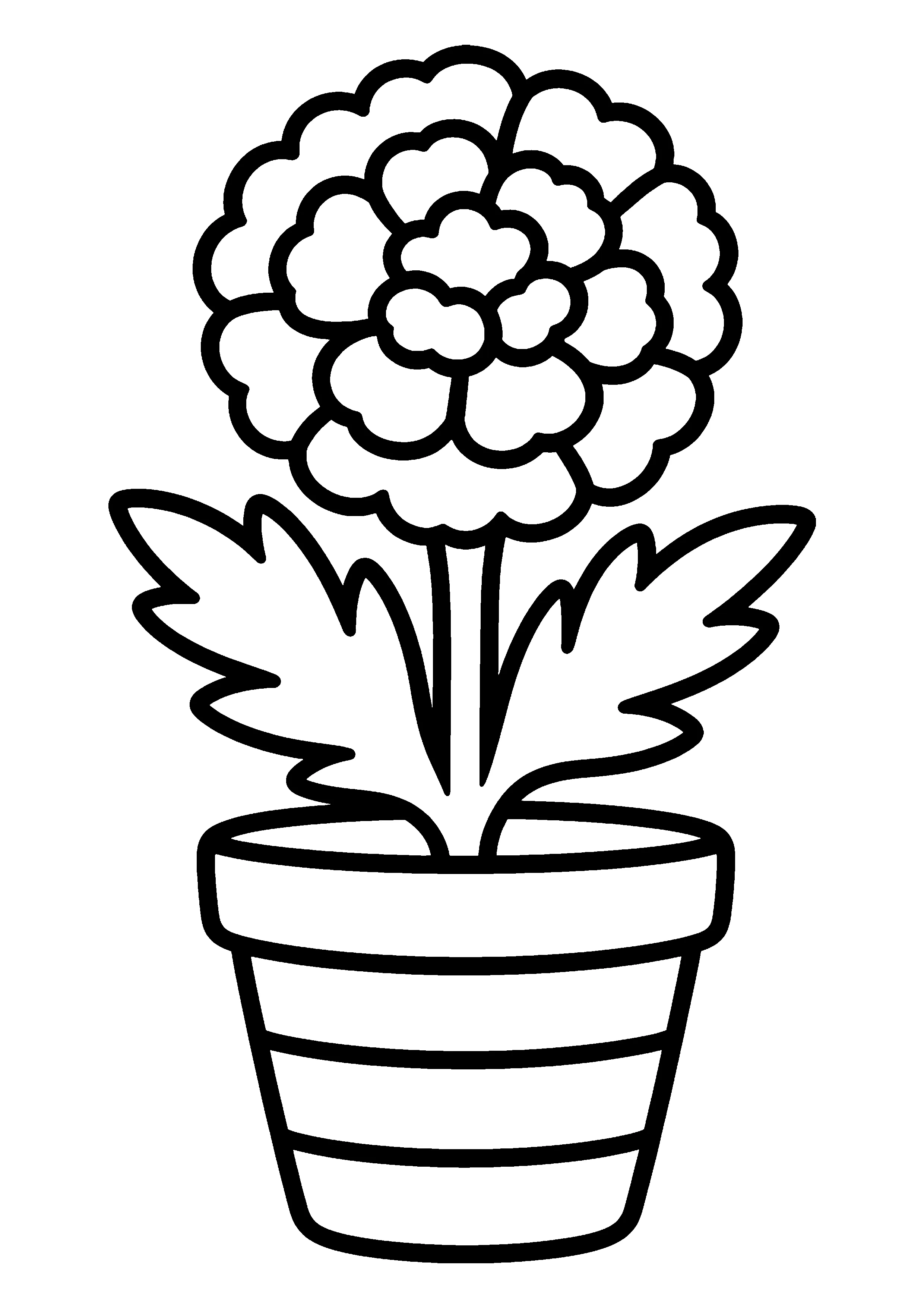 Marigold in striped pot coloring page, printable line art