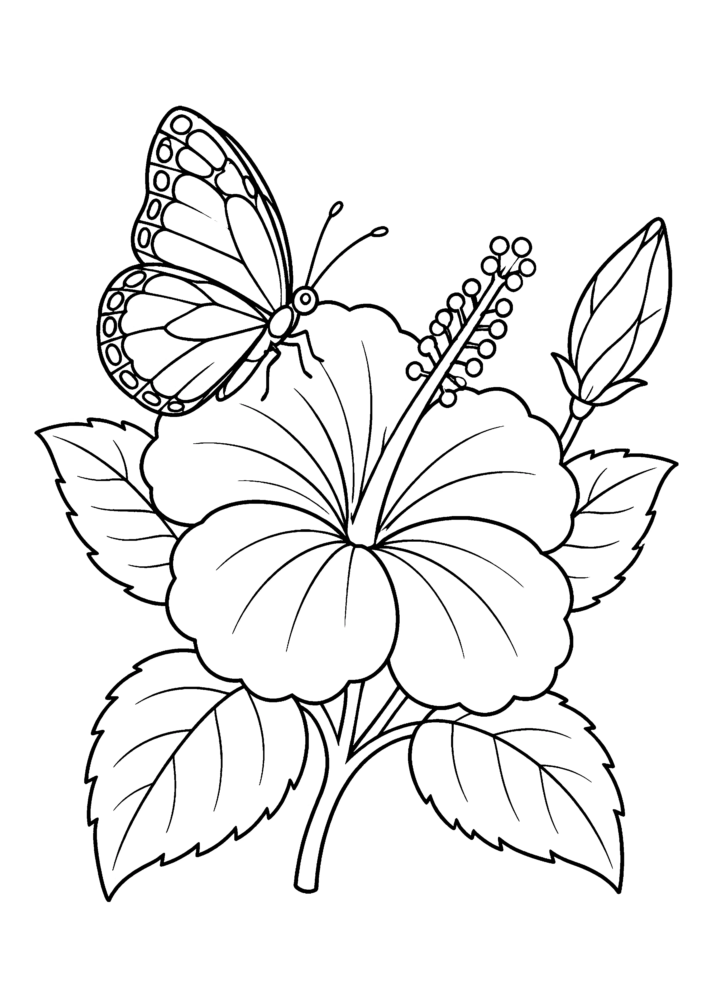 Butterfly on hibiscus flower coloring page, printable line art