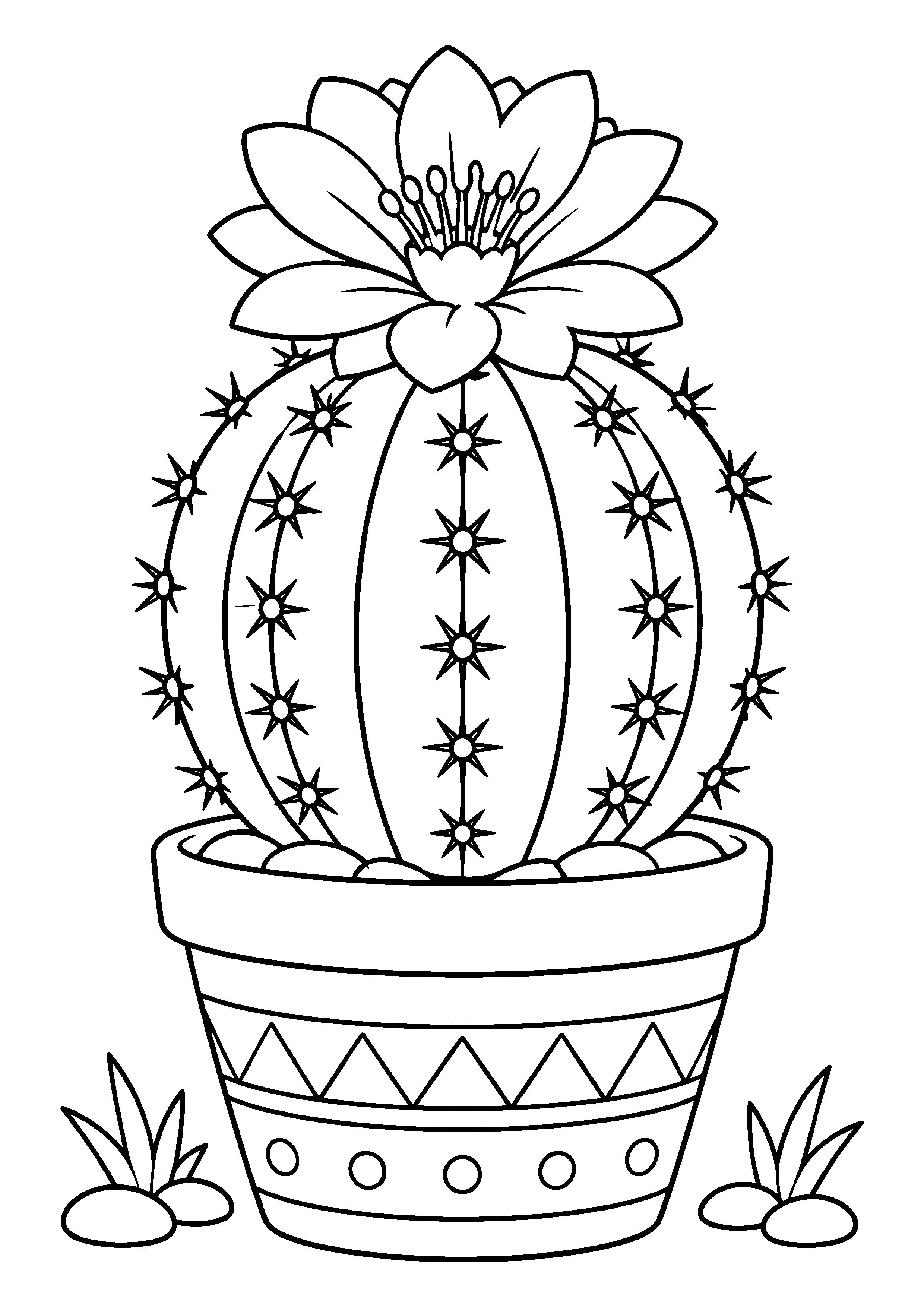 Round cactus with flower coloring page, printable line art