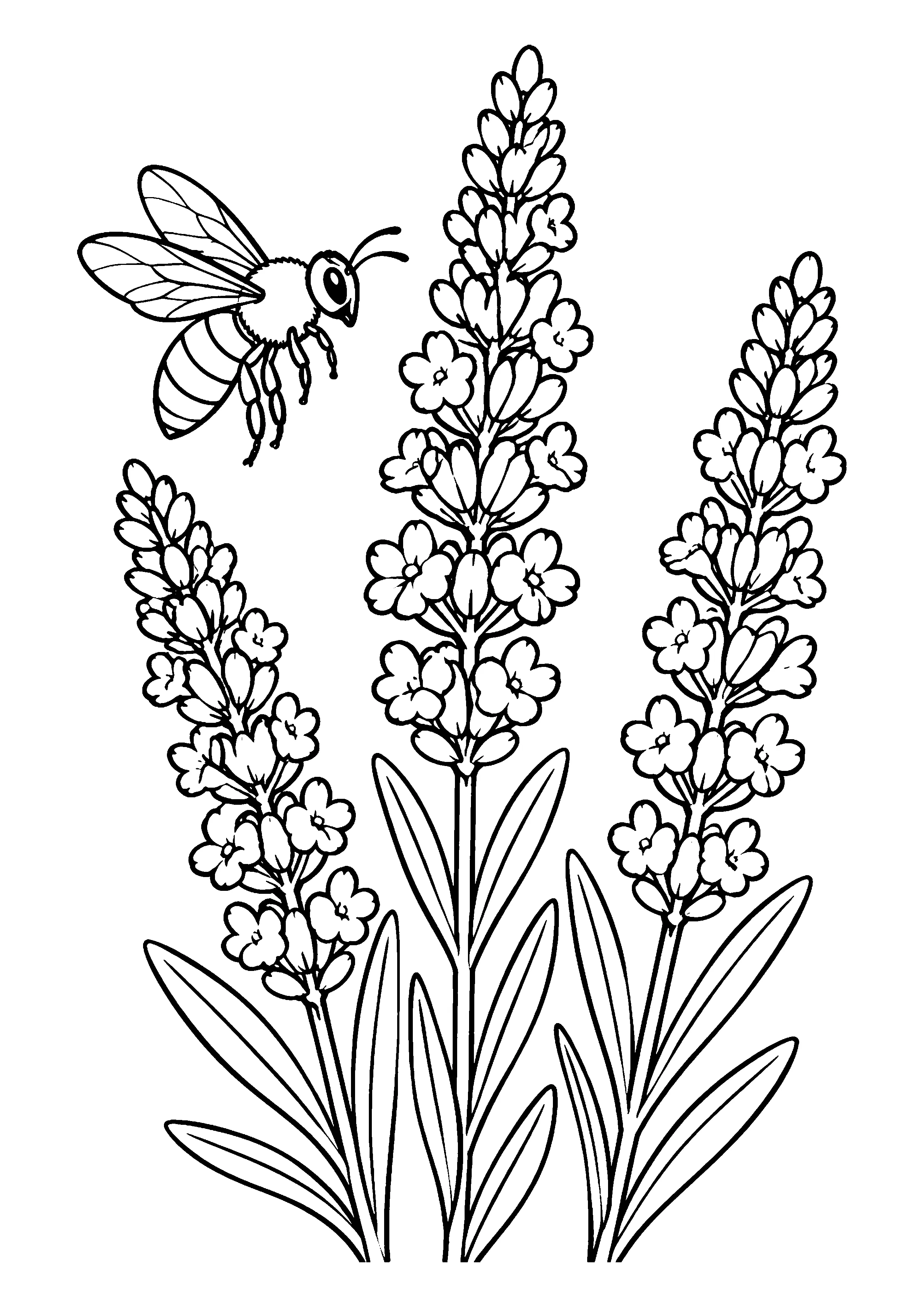 Bee beside lavender stalks coloring page, printable line art