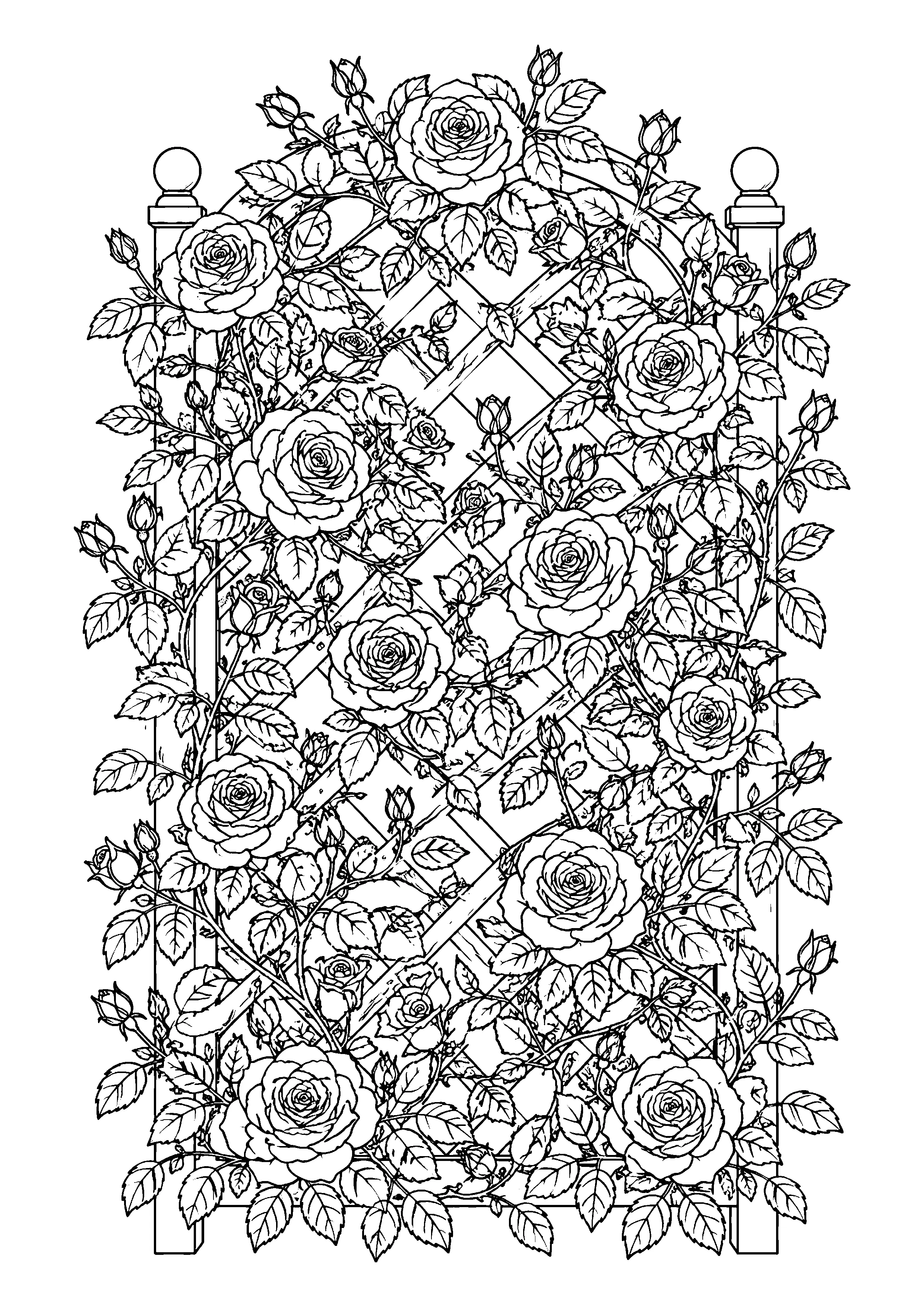 Climbing roses on garden trellis coloring page, printable line art