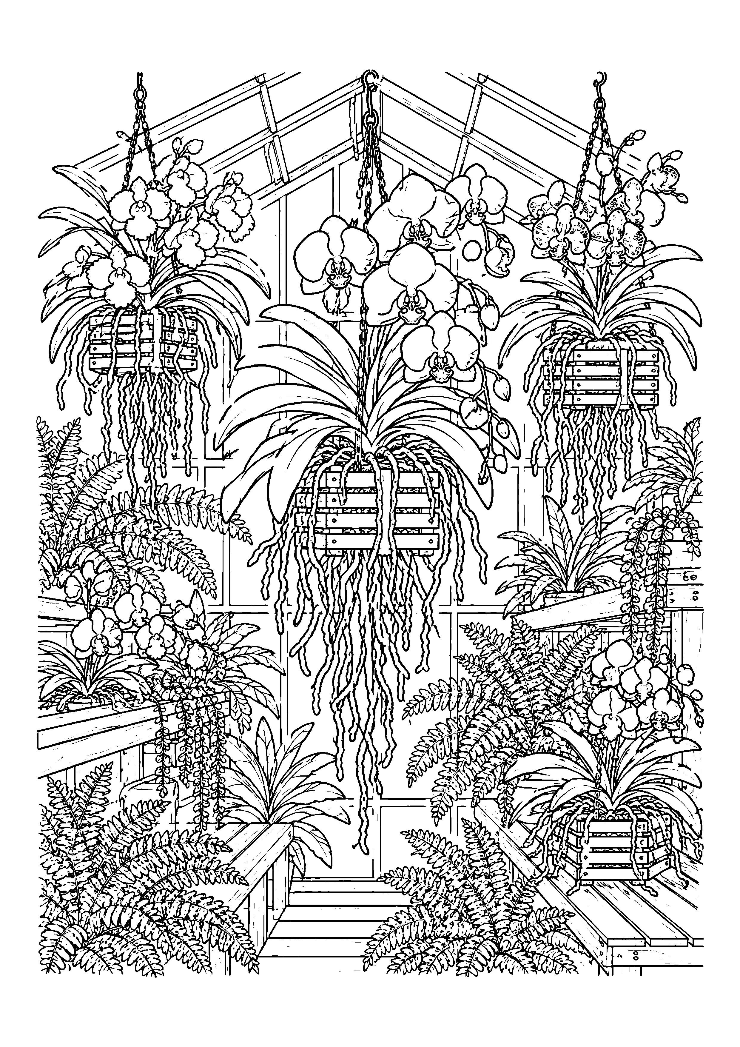 Hanging orchids in greenhouse coloring page, printable line art