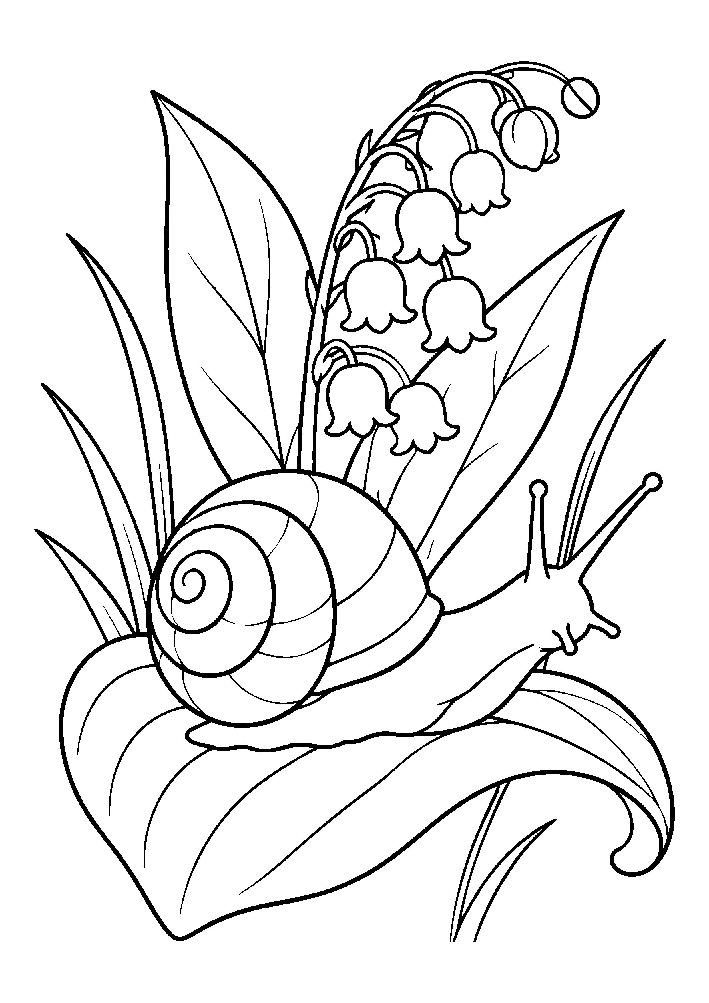Snail with lily of the valley coloring page, printable line art