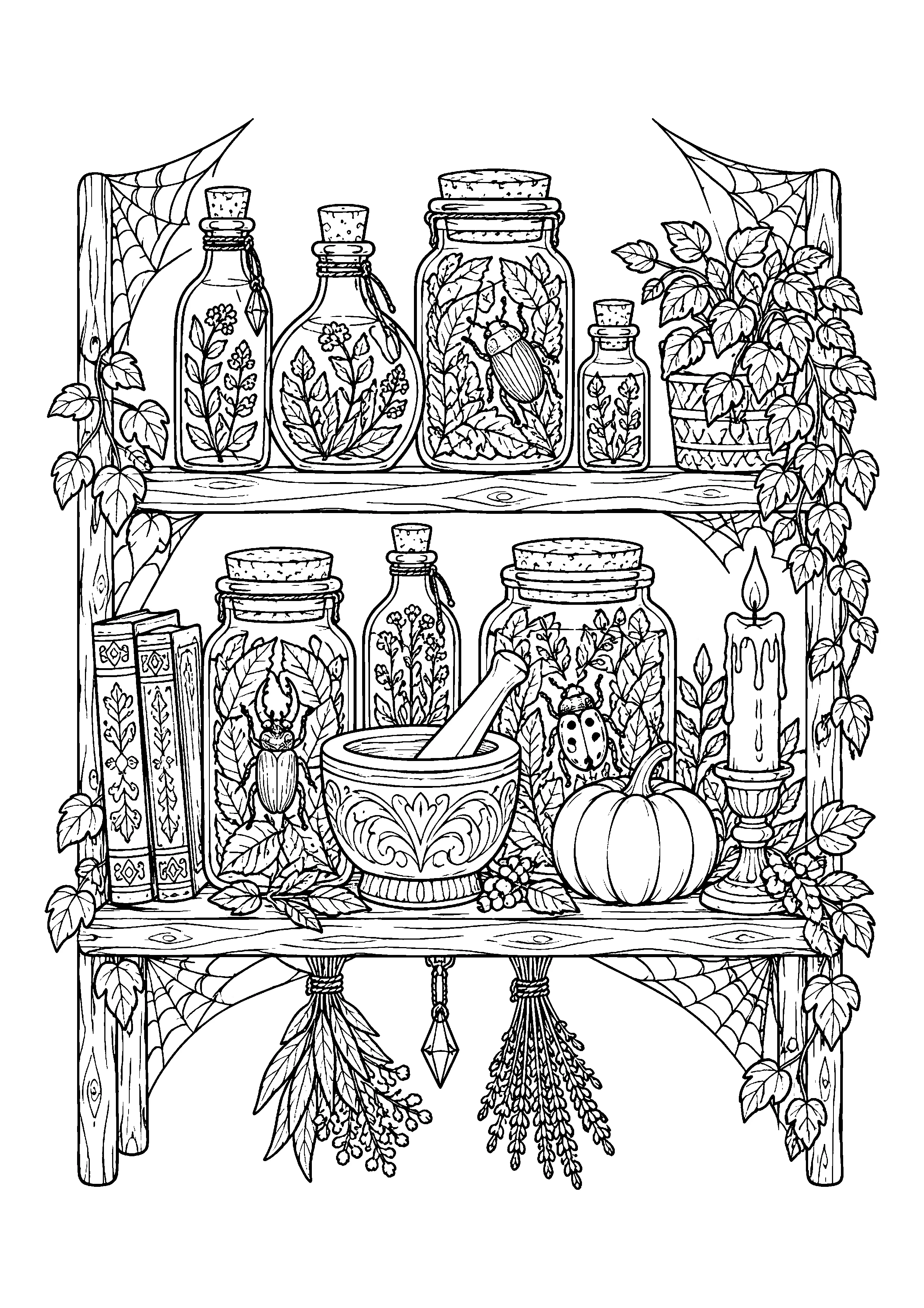 Apothecary shelf with pumpkin coloring page, printable line art