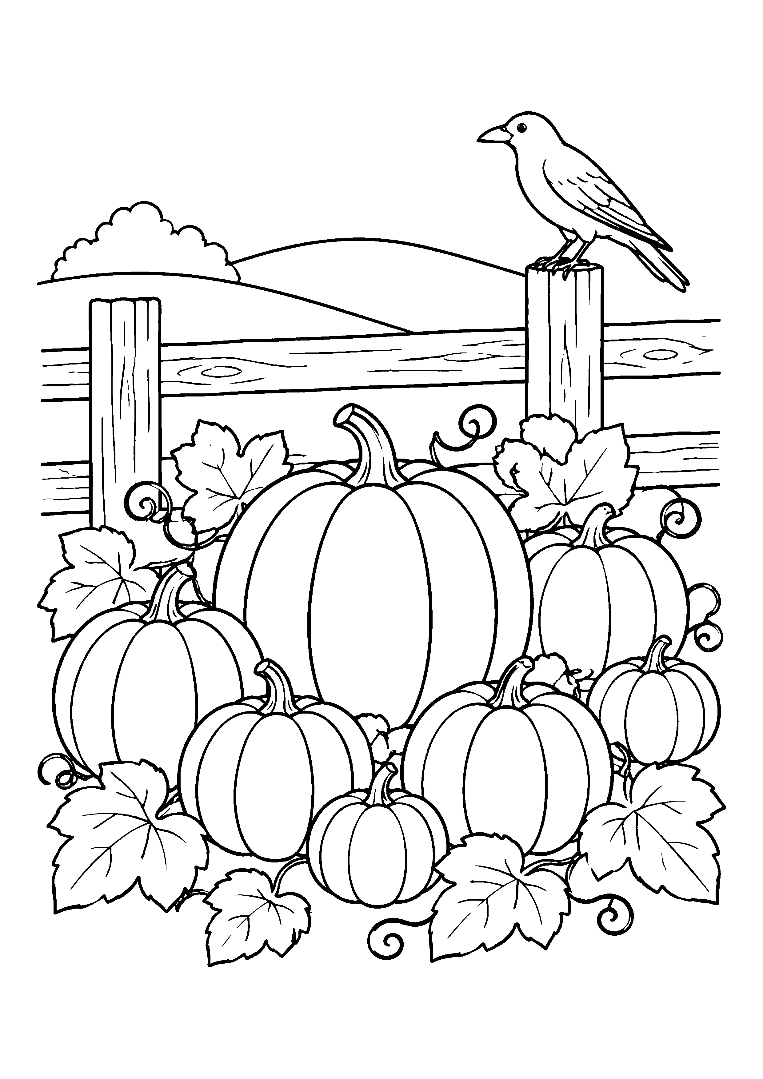 Pumpkin patch with crow coloring page, printable line art