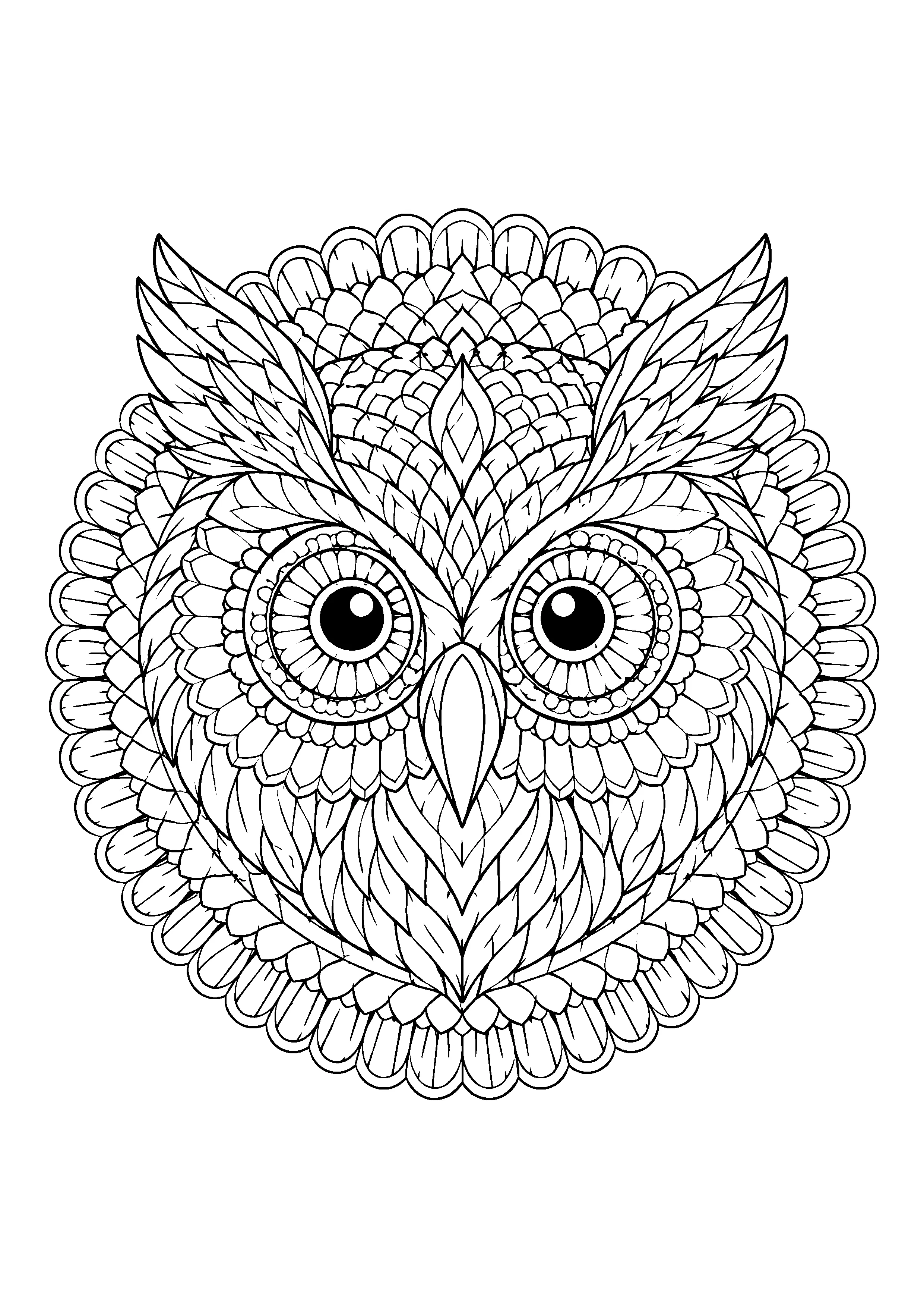 Owl face mandala coloring page, printable line art
