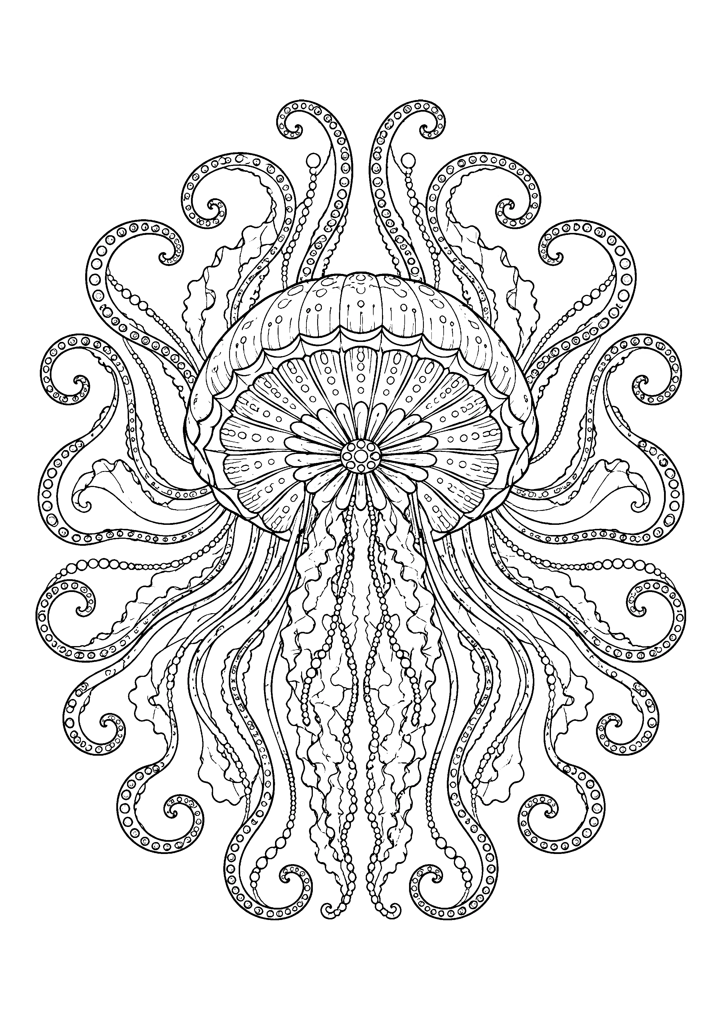 Jellyfish mandala coloring page, printable line art