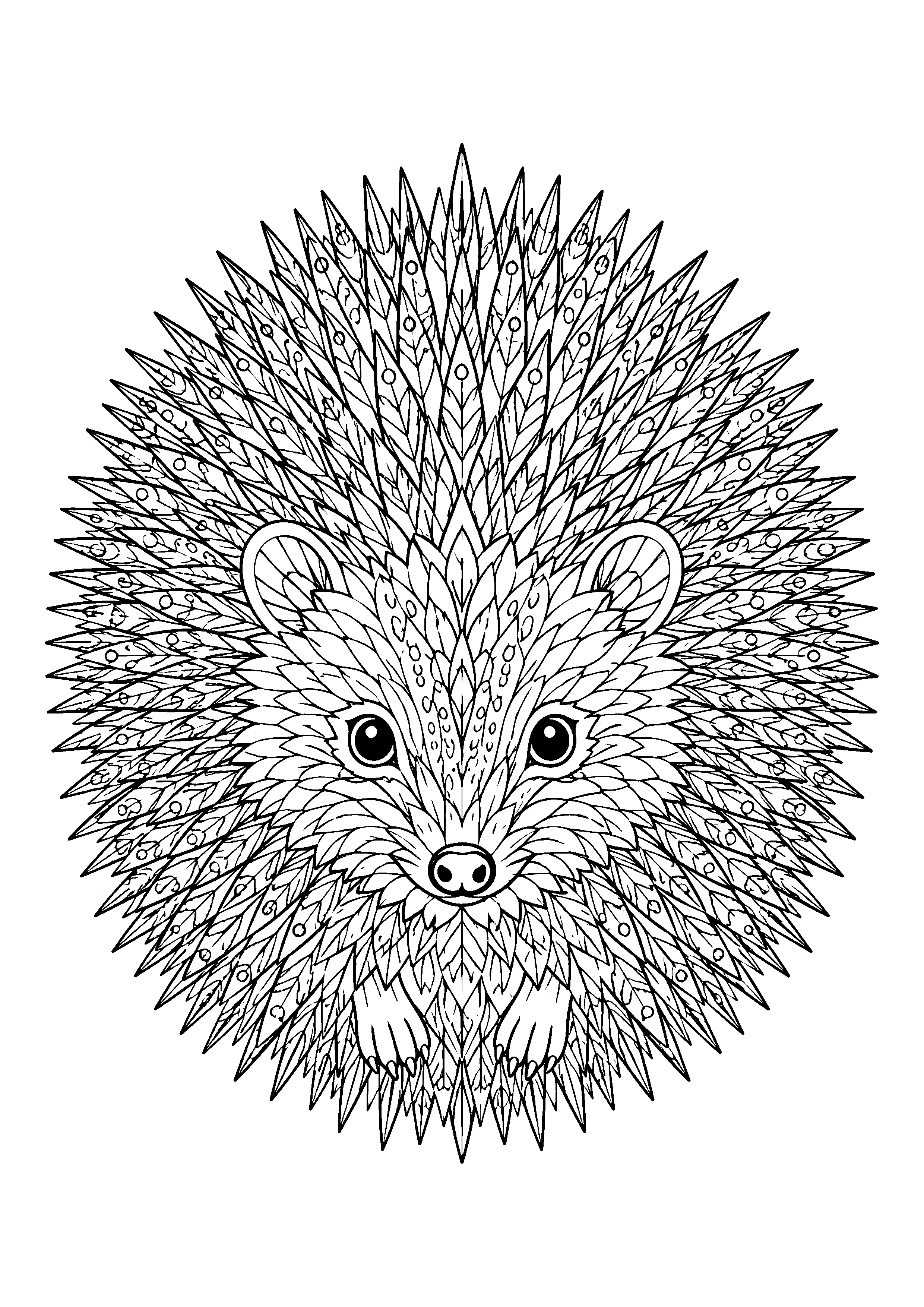 Hedgehog mandala coloring page, printable line art