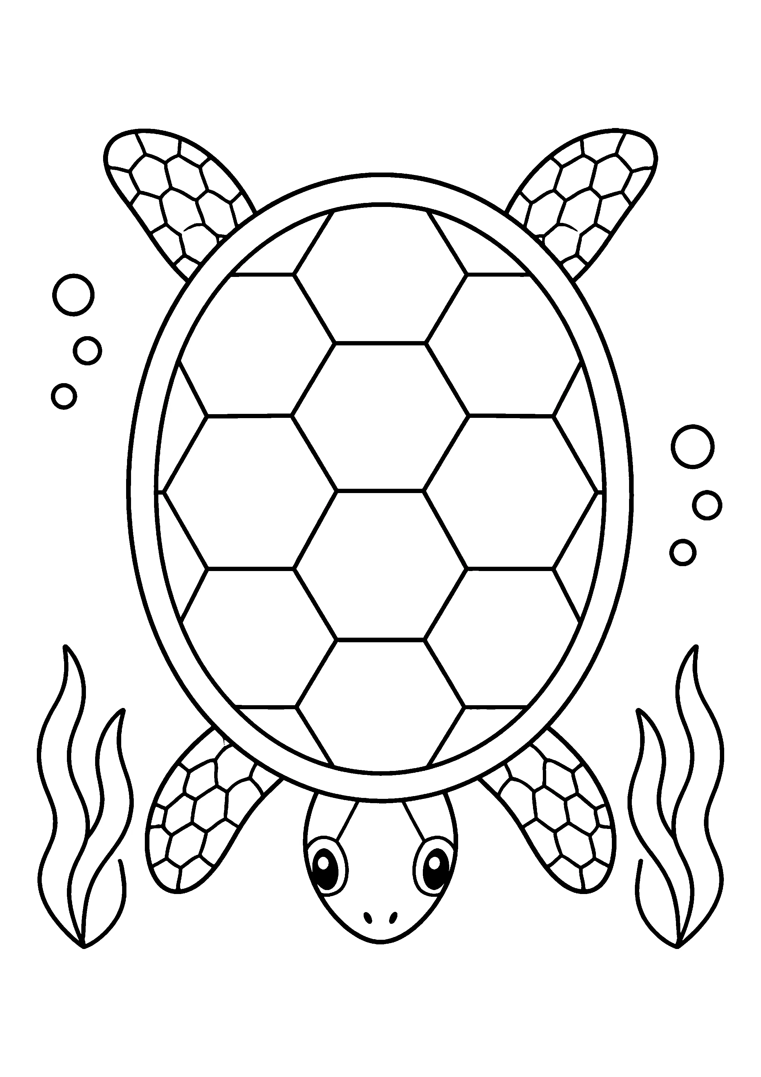 Sea turtle shell mandala coloring page, printable line art