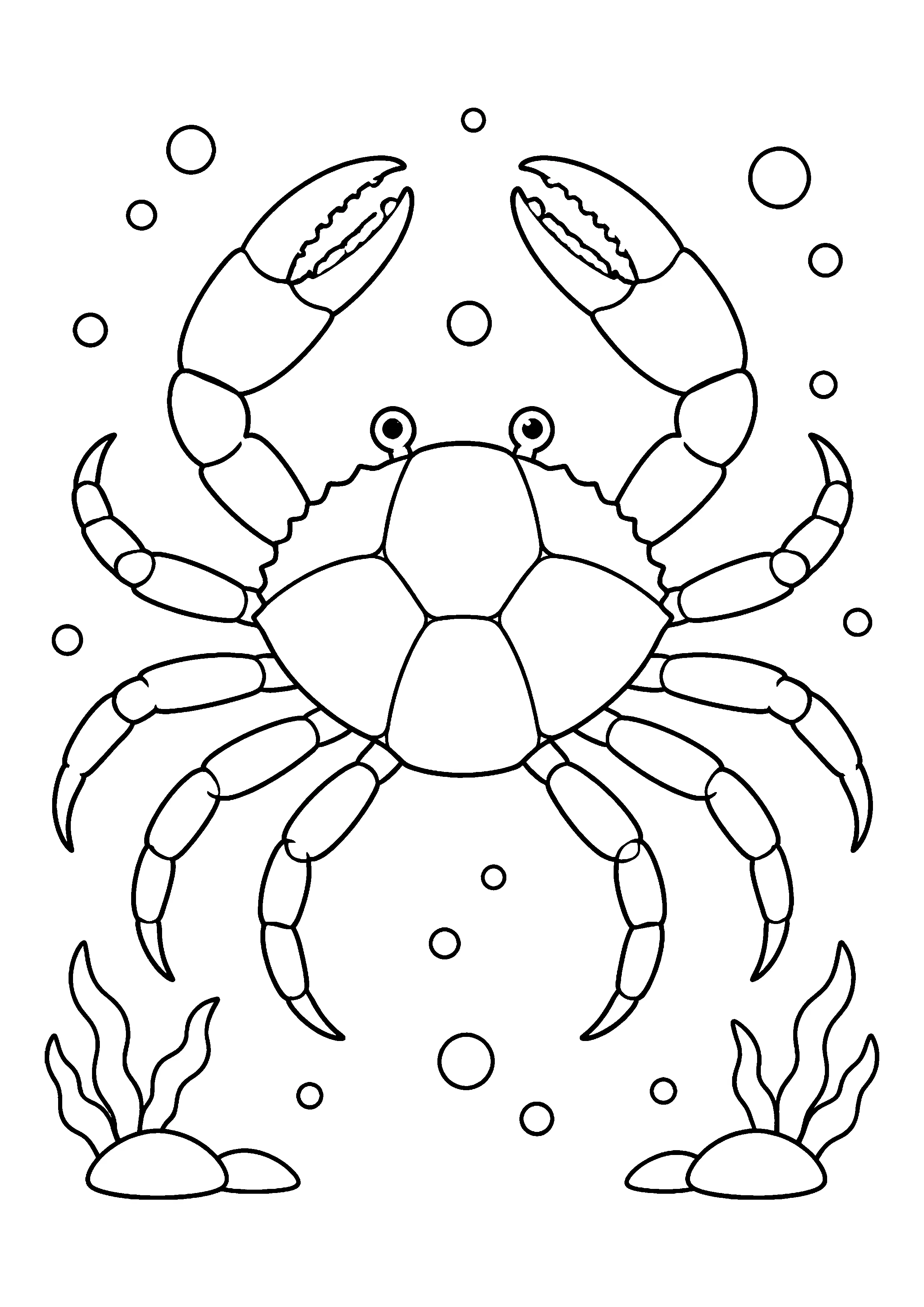 Crab mandala coloring page, printable line art