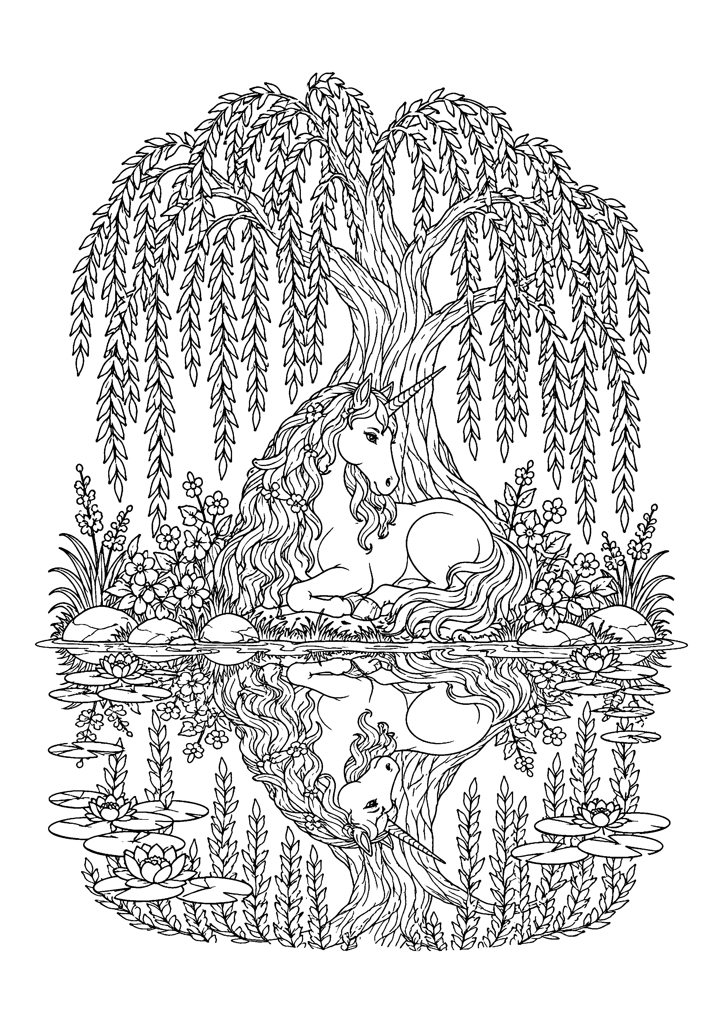 Unicorn and willow reflection coloring page, printable line art